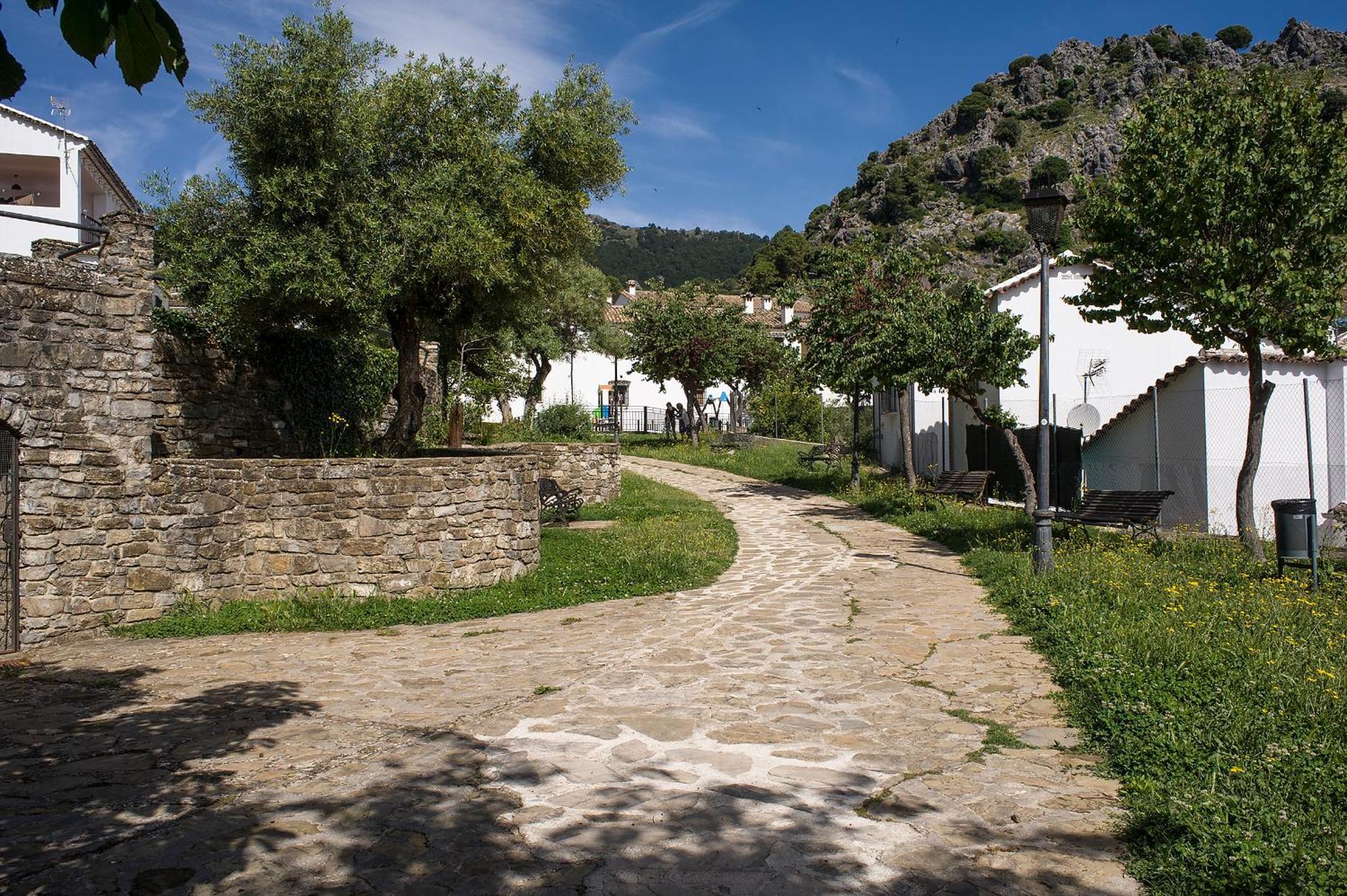 Casa Rural San José Grazalema Bagian luar foto